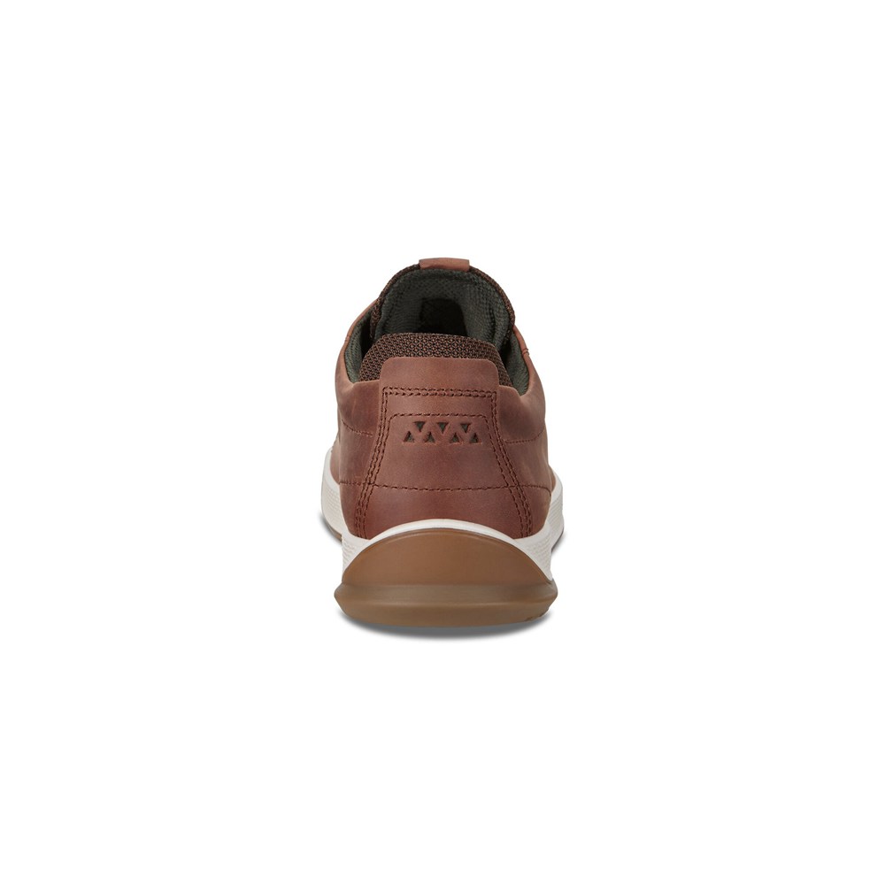 Mens Sneakers - ECCO Byway Treds - Brown - 8052LECVP
